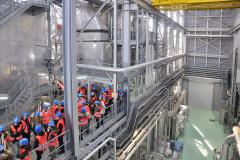 Congreso-YWP-2017-333