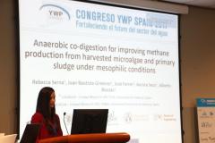 Congreso-YWP-2017-395